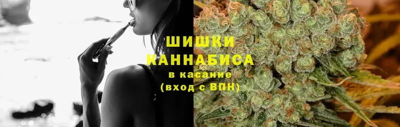 Конопля OG Kush  Петушки 